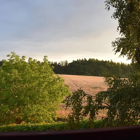 Penzion Kostelany ゲストハウス