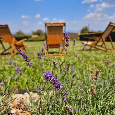 ゲストハウス Penzion Kostelany