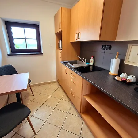 ゲストハウス Penzion Kostelany Kostelany