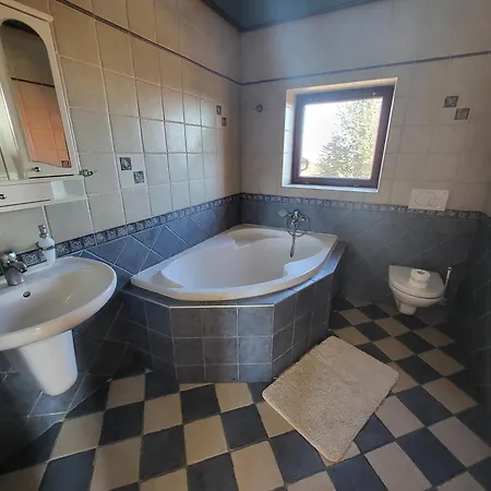 ゲストハウス Penzion Kostelany