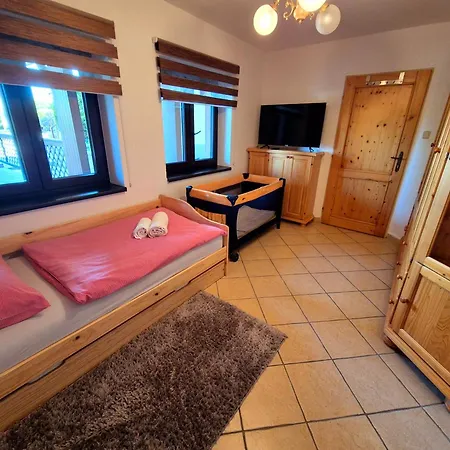 ゲストハウス Penzion Kostelany 3*