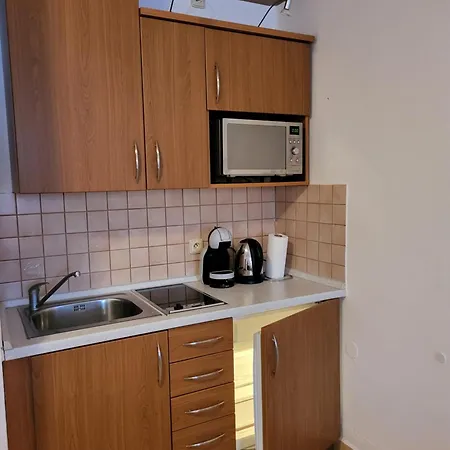 ゲストハウス Penzion Kostelany 3*