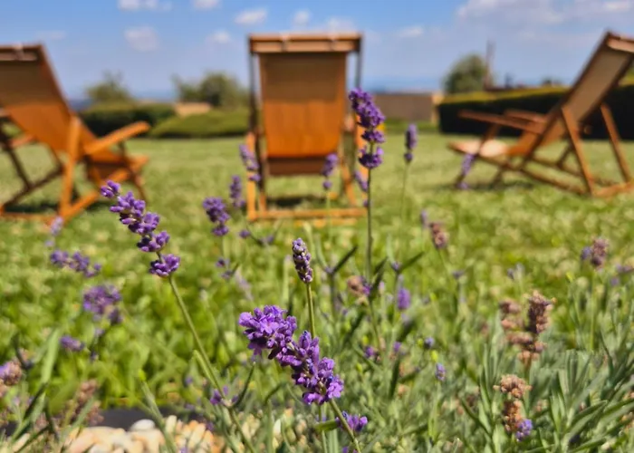 Casa de hóspedes Penzion Kostelany